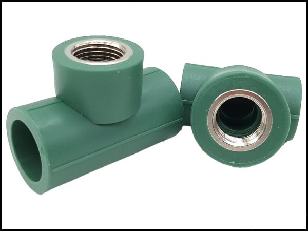 TEE HEMBRA VERDE 25X1/2 TF