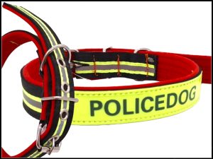 COLLAR P/PERRO 55CMX2.5MM REFL.POLIDOG EC40159